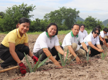 วันที่ 5 กันยายน 2567 นางสาวสุธาทิพย์ สัจจมาศ ... พารามิเตอร์รูปภาพ 1