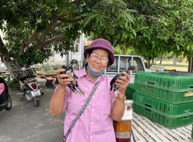 เมื่อวันที่ 8 กรกฎาคม 2568 เจ้าหน้าที่งานส่งเสริมกลุ่มอาชีพ ... พารามิเตอร์รูปภาพ 4