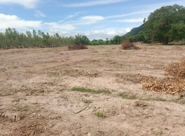 วันที่ 8 ตุลาคม 2568 เจ้าหน้าที่งานที่ดินและชลประทาน ... พารามิเตอร์รูปภาพ 4