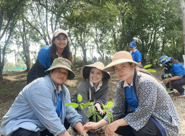 วันที่ 21 ตุลาคม 2568 นางครสวรรค์ โภคา ... พารามิเตอร์รูปภาพ 7