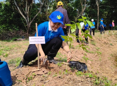 วันที่ 21 ตุลาคม 2568 นางครสวรรค์ โภคา ... พารามิเตอร์รูปภาพ 1