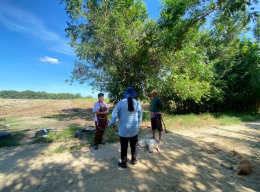 วันที่ 24 ตุลาคม 2568 นางสาวสุธาทิพย์ สัจจมาศ ... พารามิเตอร์รูปภาพ 3