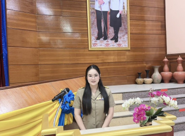 นที่ 17 พฤศจิกายน 2568 ... พารามิเตอร์รูปภาพ 3