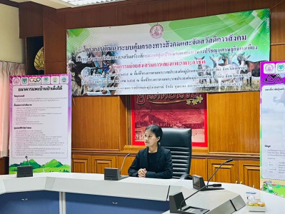 วันที่ 7 มกราคม 2569 ... พารามิเตอร์รูปภาพ 1