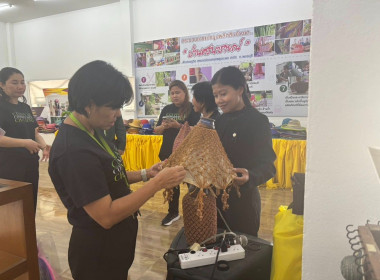 วันที่ 29 มกราคม 2569 ร่วมพูดคุย ... พารามิเตอร์รูปภาพ 4