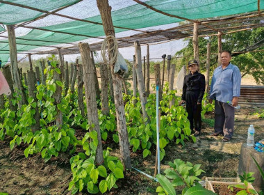 วันที่ 6 กุมภาพันธ์ 2569 นางสาวสุธาทิพย์ สัจจมาศ ... พารามิเตอร์รูปภาพ 1