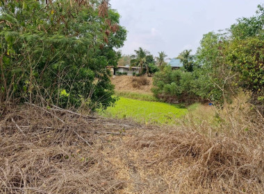 วันที่ 9 กุมภาพันธ์ 2569 นางสาวสุธาทิพย์ สัจจมาศ ... พารามิเตอร์รูปภาพ 2