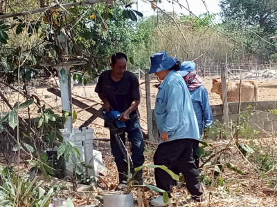 วันที่ 10 กุมภาพันธ์ 2569 ... พารามิเตอร์รูปภาพ 1