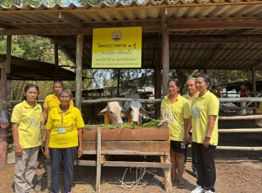 วันที่ 16 กุมภาพันธ์ 2569 ... พารามิเตอร์รูปภาพ 6