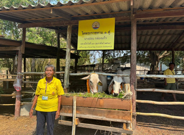 วันที่ 16 กุมภาพันธ์ 2569 ... พารามิเตอร์รูปภาพ 8