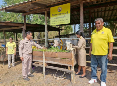 วันที่ 16 กุมภาพันธ์ 2569 ... พารามิเตอร์รูปภาพ 3