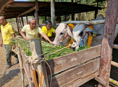 วันที่ 16 กุมภาพันธ์ 2569 ... พารามิเตอร์รูปภาพ 7