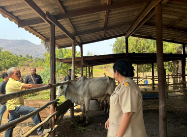 วันที่ 16 กุมภาพันธ์ 2569 ... พารามิเตอร์รูปภาพ 4