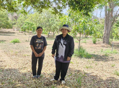 วันที่ 11 มีนาคม 2569 ... พารามิเตอร์รูปภาพ 3