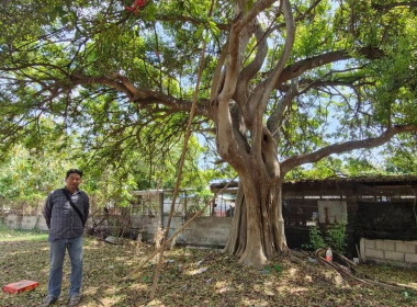 วันที่ 11 มีนาคม 2569 ... พารามิเตอร์รูปภาพ 1