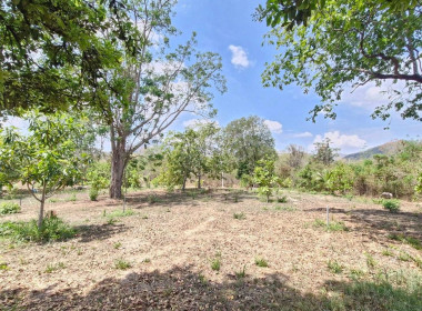 วันที่ 11 มีนาคม 2569 ... พารามิเตอร์รูปภาพ 2