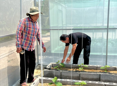 วันที่ 17 มีนาคม 2569 นักวิชาการเกษตร ... พารามิเตอร์รูปภาพ 1