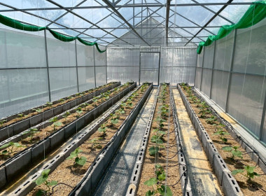 วันที่ 17 มีนาคม 2569 นักวิชาการเกษตร ... พารามิเตอร์รูปภาพ 4