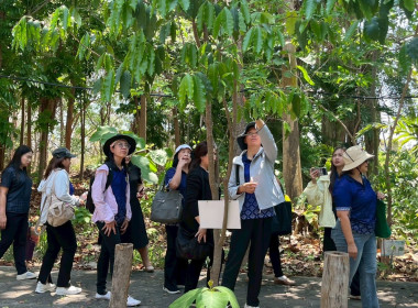 วันที่ 19 มีนาคม 2569 เจ้าหน้าที่งานเผยแพร่ประชาสัมพันธ์ ... พารามิเตอร์รูปภาพ 12