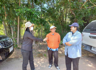 สำรวจพื้นที่เพื่อดำเนินโครงการขุดลอกลำห้วยและบ่อดักตะกอนดิน พารามิเตอร์รูปภาพ 7