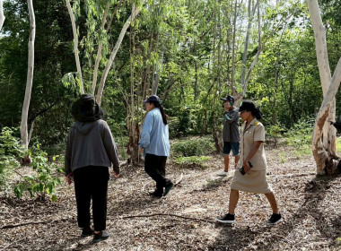 สำรวจพื้นที่เพื่อดำเนินโครงการขุดลอกลำห้วยและบ่อดักตะกอนดิน พารามิเตอร์รูปภาพ 2