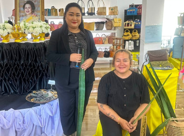 วันที่ 24 มิถุนายน 2569 เจ้าหน้าที่งานเผยแพร่ประชาสัมพันธ์ ... พารามิเตอร์รูปภาพ 6