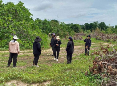 สำรวจพื้นที่โครงการจัดพัฒนาที่ดินตามพระราชประสงค์หุบกะพง พารามิเตอร์รูปภาพ 11