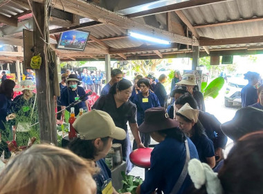 เจ้าหน้าที่งานเผยแพร่ประชาสัมพันธ์ ... พารามิเตอร์รูปภาพ 11