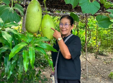 เจ้าหน้าที่งานเผยแพร่ประชาสัมพันธ์ ... พารามิเตอร์รูปภาพ 18