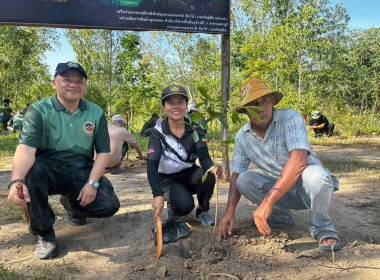 ร่วมกิจกรรมปลูกเสริมป่าบริเวณพื้นที่สาธารณประโยชน์และกิจกรรมอนุรักษ์ตามวัฒนธรรมท้องถิ่น(บวชป่า) ... พารามิเตอร์รูปภาพ 4