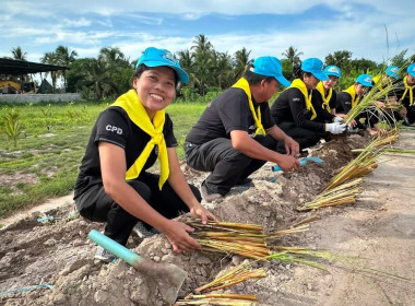 เข้าร่วมกิจกรรมจิตอาสาบำเพ็ญสาธารณกุศลเฉลิมพระเกียรติพระบาทสมเด็จพระเจ้าอยู่หัว เนื่องในโอกาสวันเฉลิมพระชนมพรรษา 28 กรกฎาคม 2569 ปลูกเพิ่มเติมระยะที่ 2 ... พารามิเตอร์รูปภาพ 5