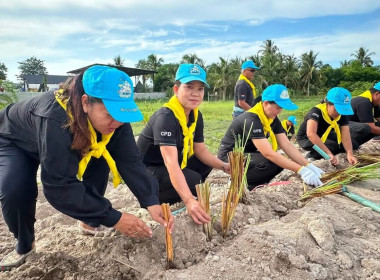 เข้าร่วมกิจกรรมจิตอาสาบำเพ็ญสาธารณกุศลเฉลิมพระเกียรติพระบาทสมเด็จพระเจ้าอยู่หัว เนื่องในโอกาสวันเฉลิมพระชนมพรรษา 28 กรกฎาคม 2569 ปลูกเพิ่มเติมระยะที่ 2 ... พารามิเตอร์รูปภาพ 4