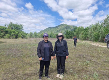 งานที่ดินและชลประทาน ร่วมกับ ... พารามิเตอร์รูปภาพ 1
