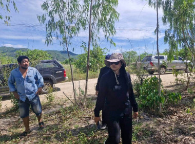 งานที่ดินและชลประทาน ร่วมกับ ... พารามิเตอร์รูปภาพ 2